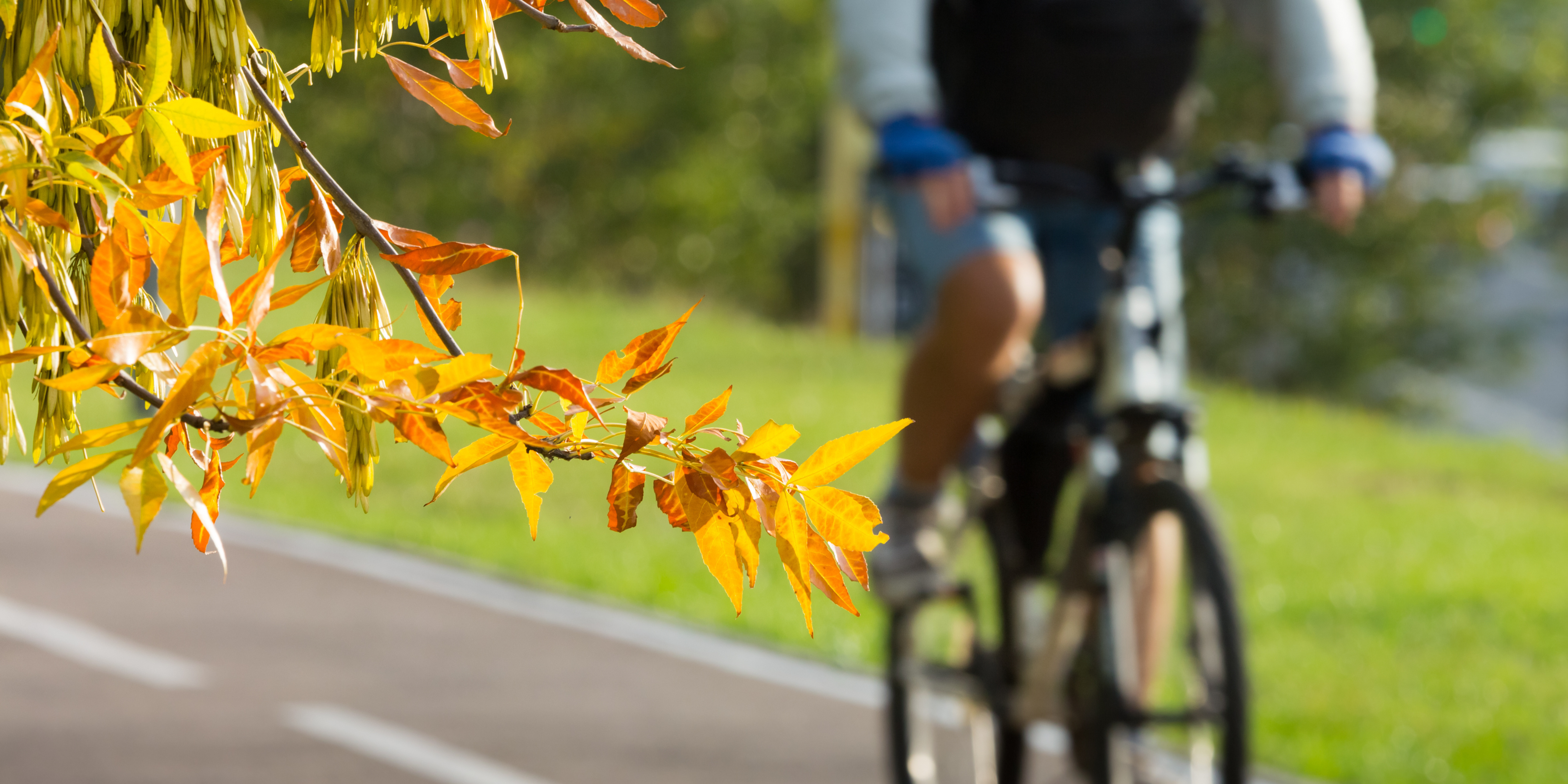 op de fiets naar het werk